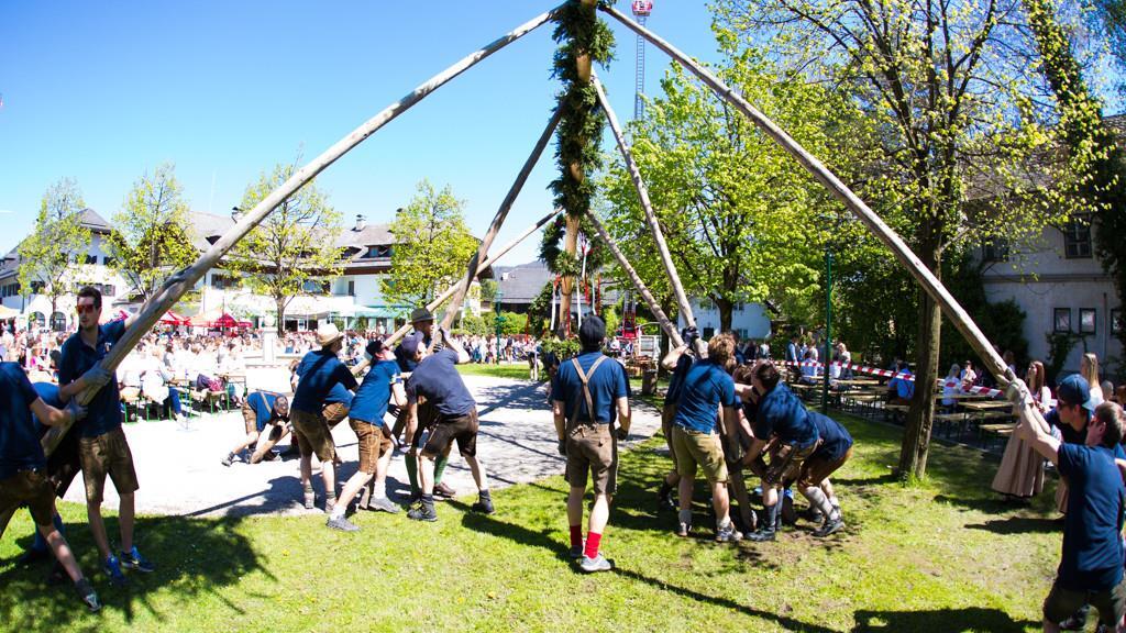 Maibaum in Anif