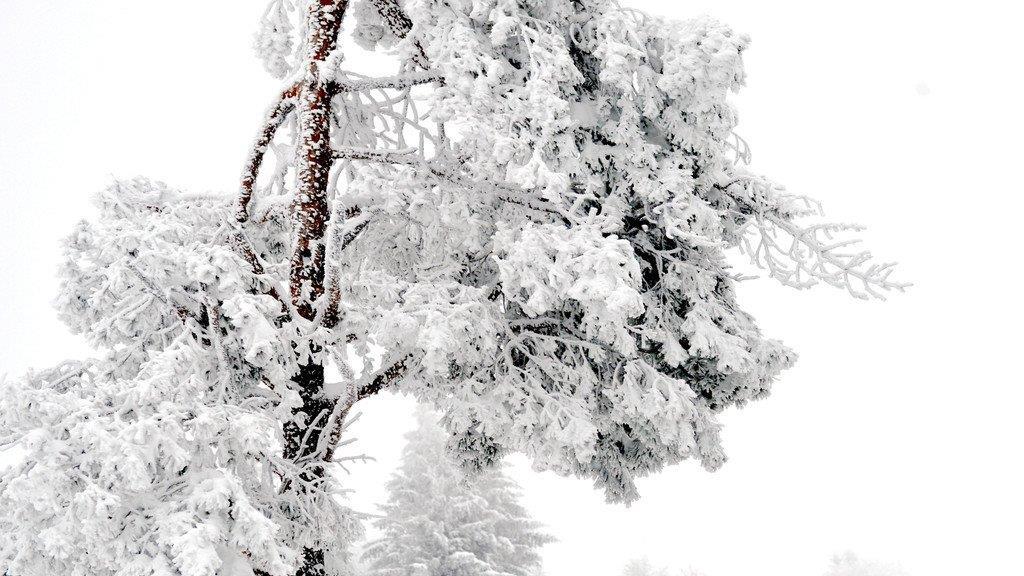 Winter im Flachgau: Gaisberg und Vorderfager