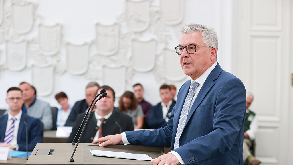 schwaiger hearing salzburger landesregierung