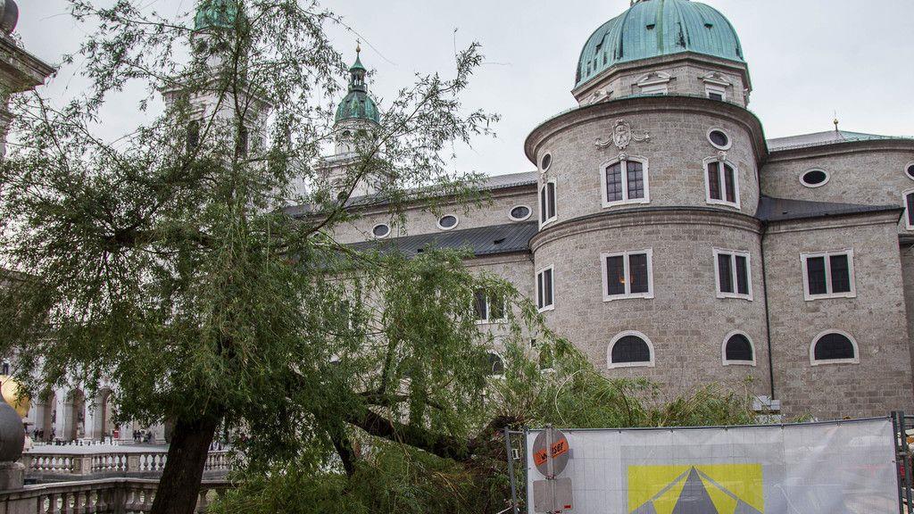 Sturm knickt Baum bei Kapitelschwemme