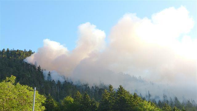Waldbrand am Thumsee: Großeinsatz
