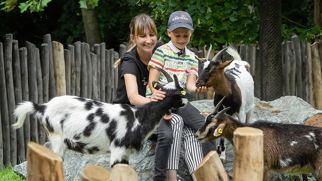 Neuer Streichelzoo im Wiener Tiergarten Schönbrunn eröffnet