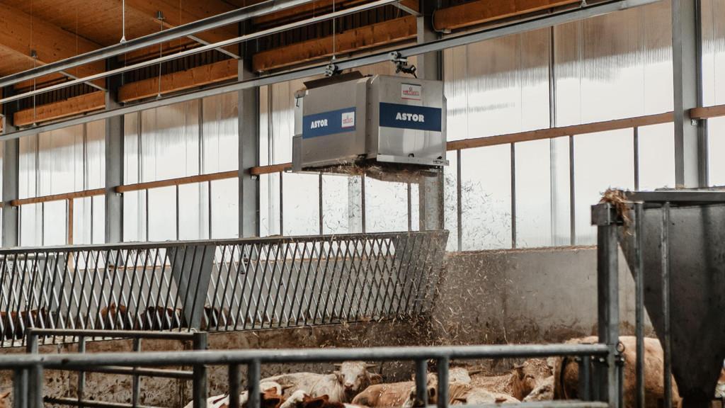Friesachers neuer Stall in Anif