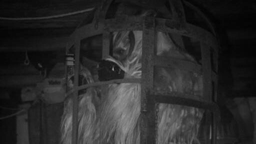 Krampusshow - Untersberg-Krampusse I