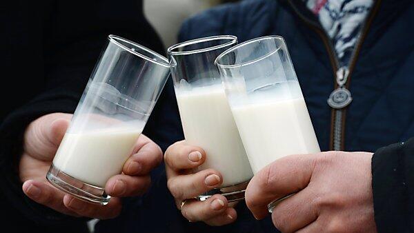 Die Milchpreise sind im Keller