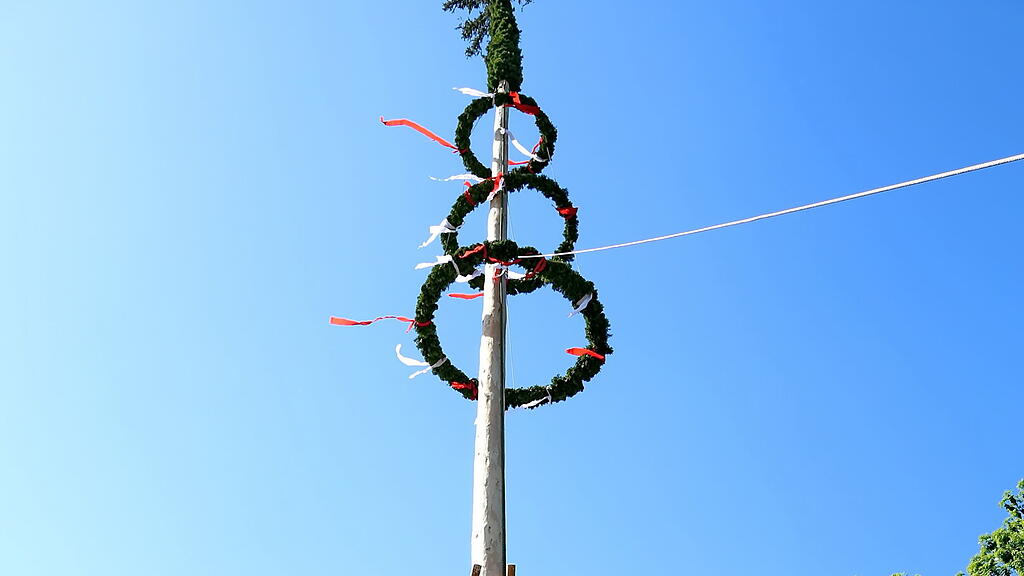 Maibaumaufstellen in Leopoldskron