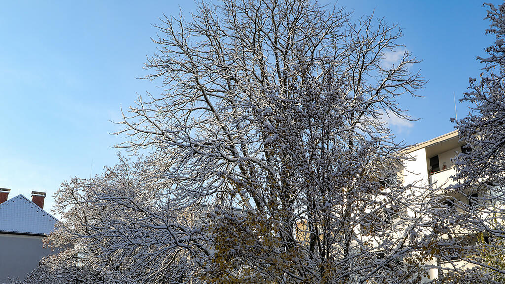 20241122_fmt_erster_schnee_salzburg_mw-14.jpg