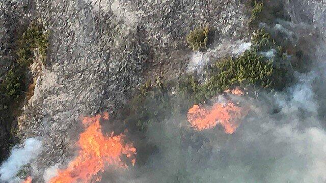 Waldbrand