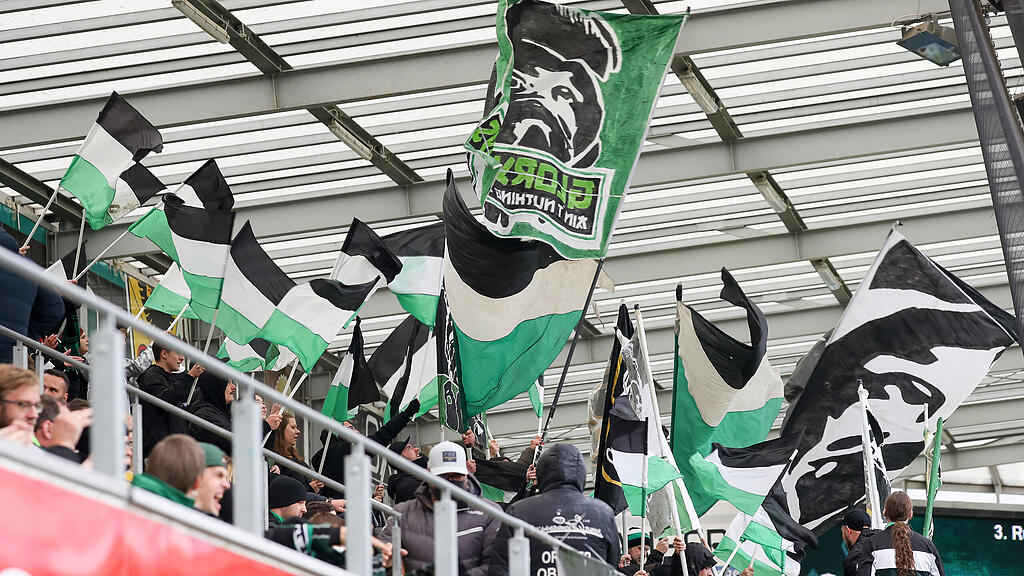 Bundesliga: Ried gegen Salzburg, Bullen, Marsch, Red Bull,