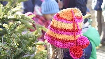 Warten aufs Christkind im Zoo