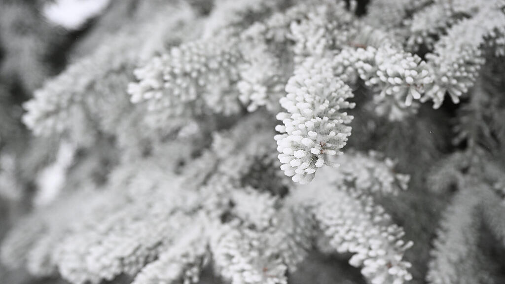 symb_winter_schnee