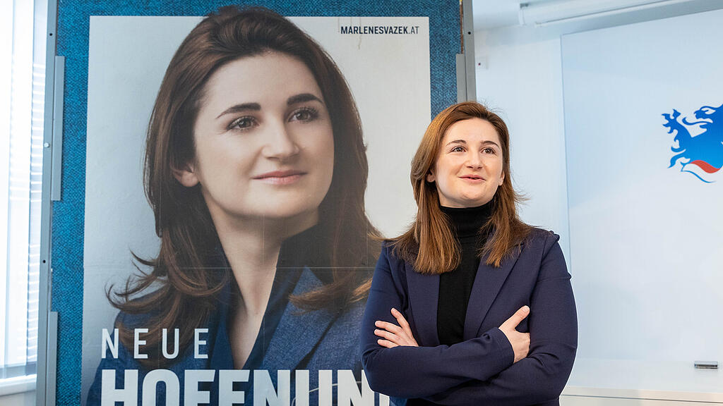 FPÖ Salzburg zweite Plakatwelle Landtagwahl