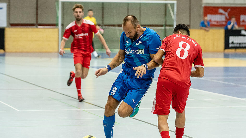 Salzburger Stier: Gruppe D