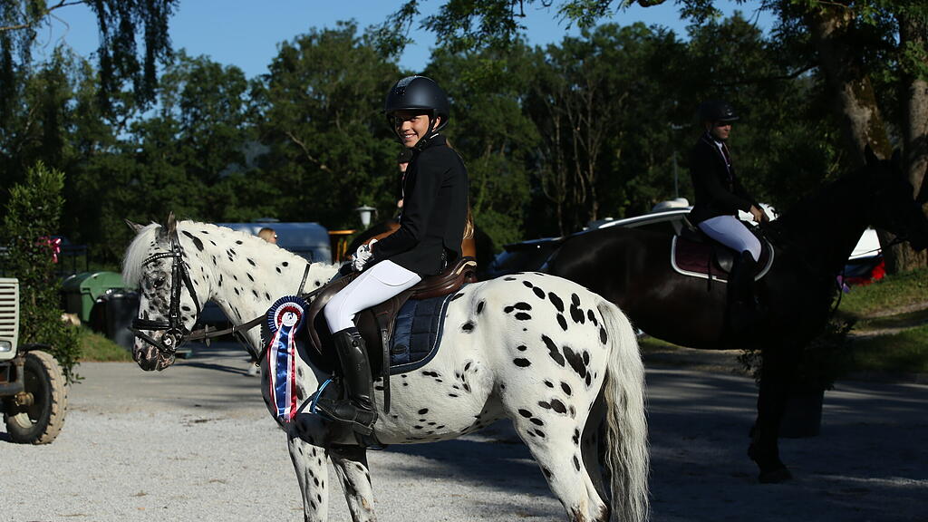 Landesmeisterschaft Springreiten 2022 Elixhausen