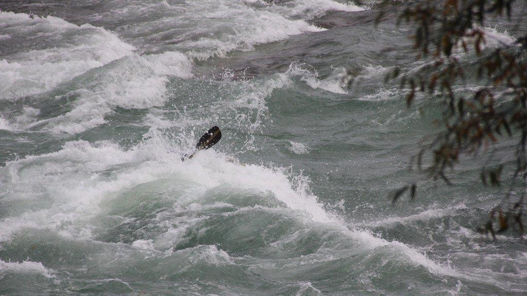 Kajak Freestyle auf der Salzach