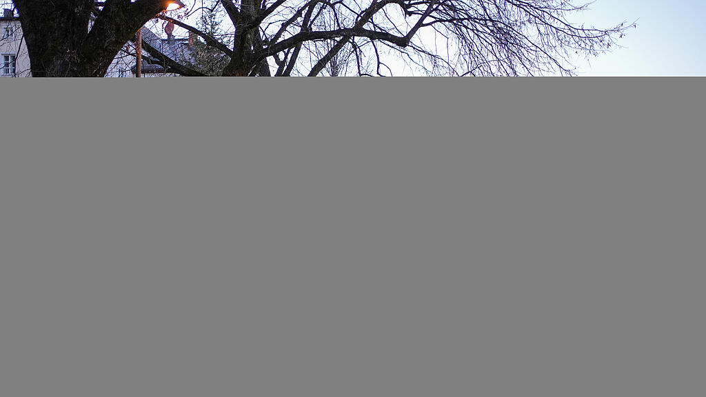 image00020.jpeg