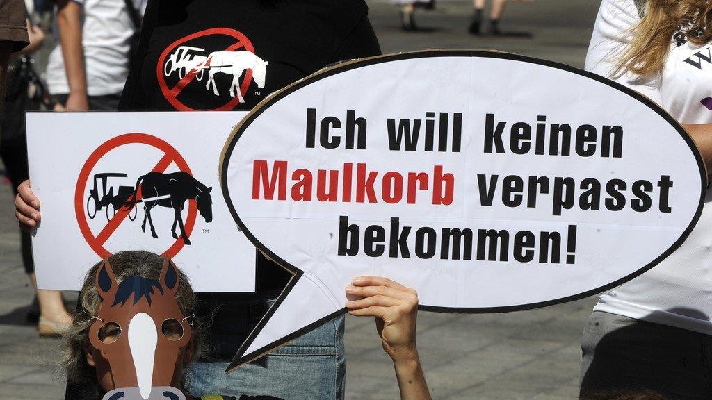 Die besten Tierbilder KW 30