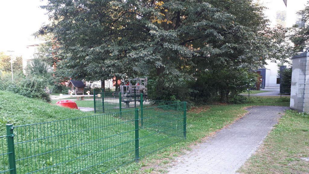 Rundgang im Dr. Hans-Lechner-Park