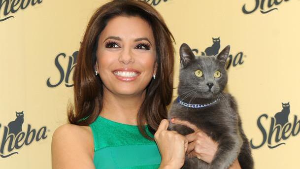 Eva Longoria 2013