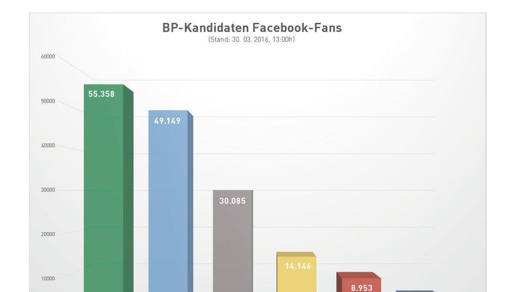 Facebook-Analyse zur BP-Wahl: Die Ergebnisse im Detail