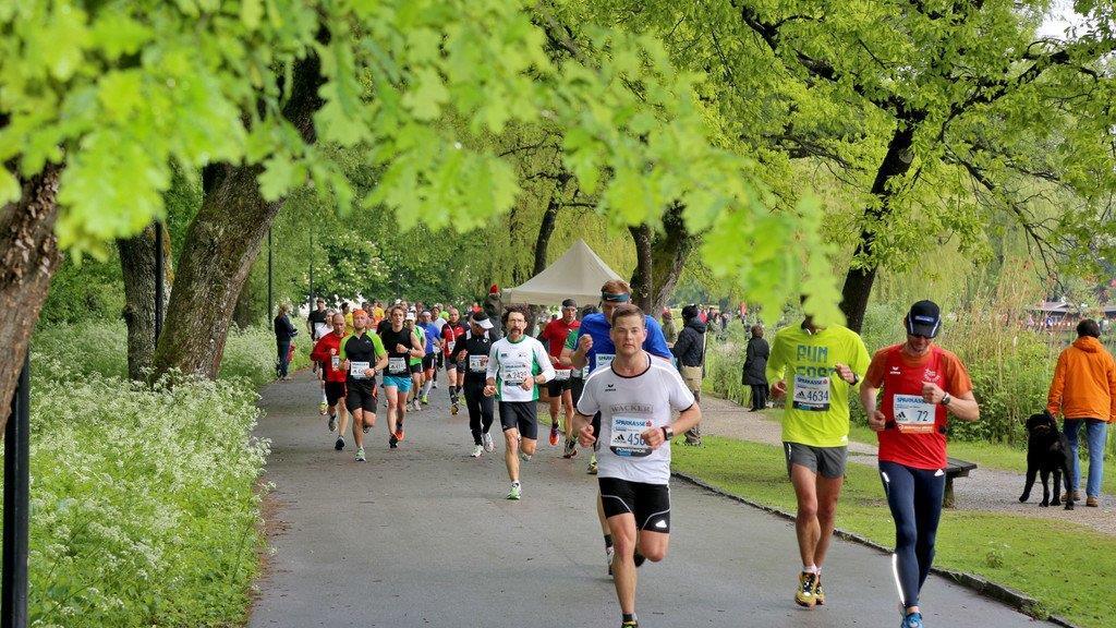 11. Salzburg-Marathon I