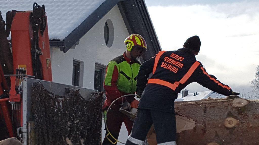 Baumfällen Mariapfarr