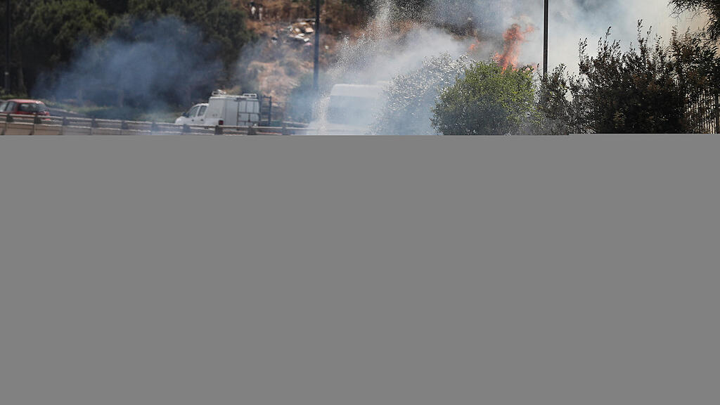 Israel, Feuer, Waldbrand