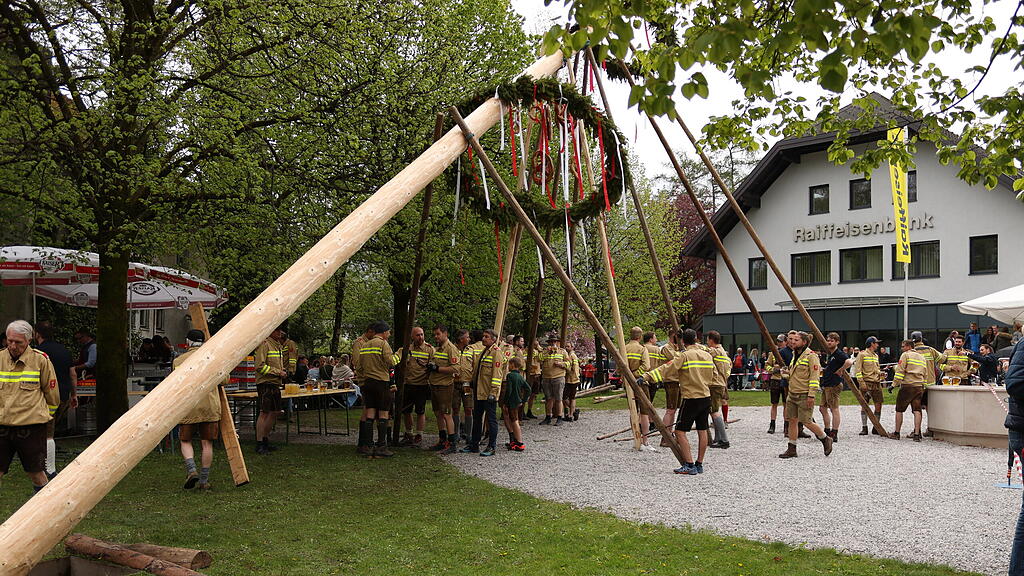 Maibaumaufstellen in Anif