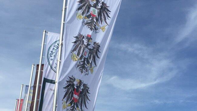 Über ein Jahr lang störten die drei "Bananenrepublik-Adler" offenbar niemanden.