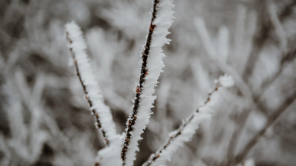 Schnee am Gaisberg