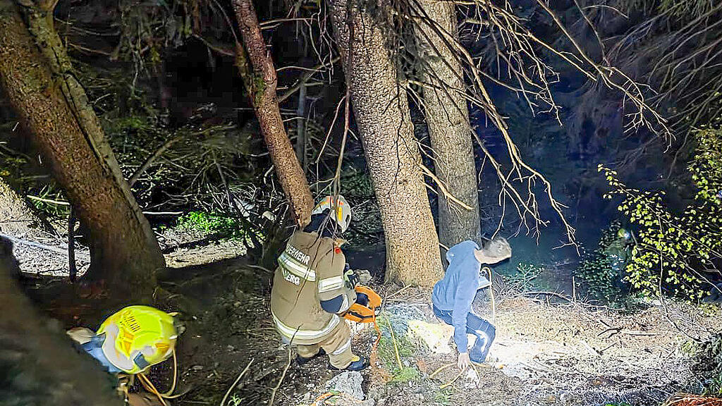 Kuh in Annaberg gerettet