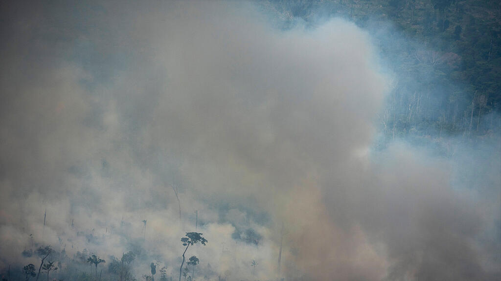 Waldbr\u00e4nde in Brasilien