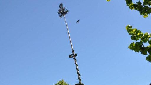Maibaumaufstellen in Piding und Ainring