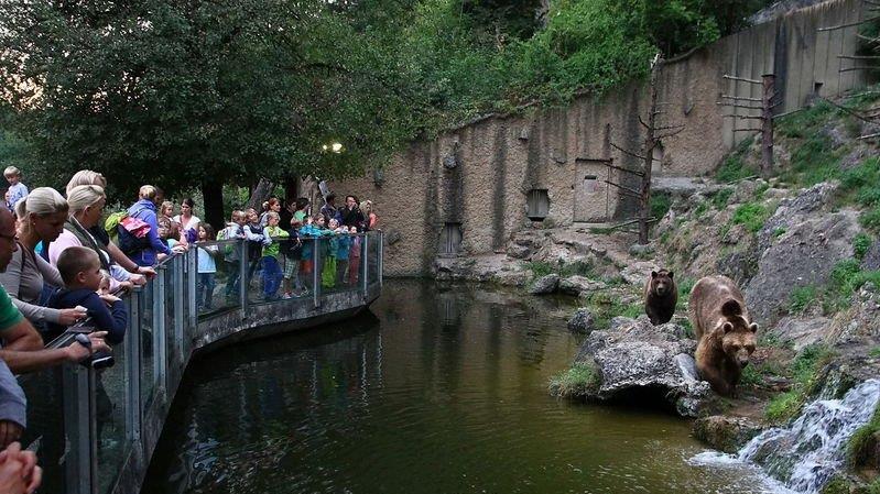 Nachtzoo in Salzburg