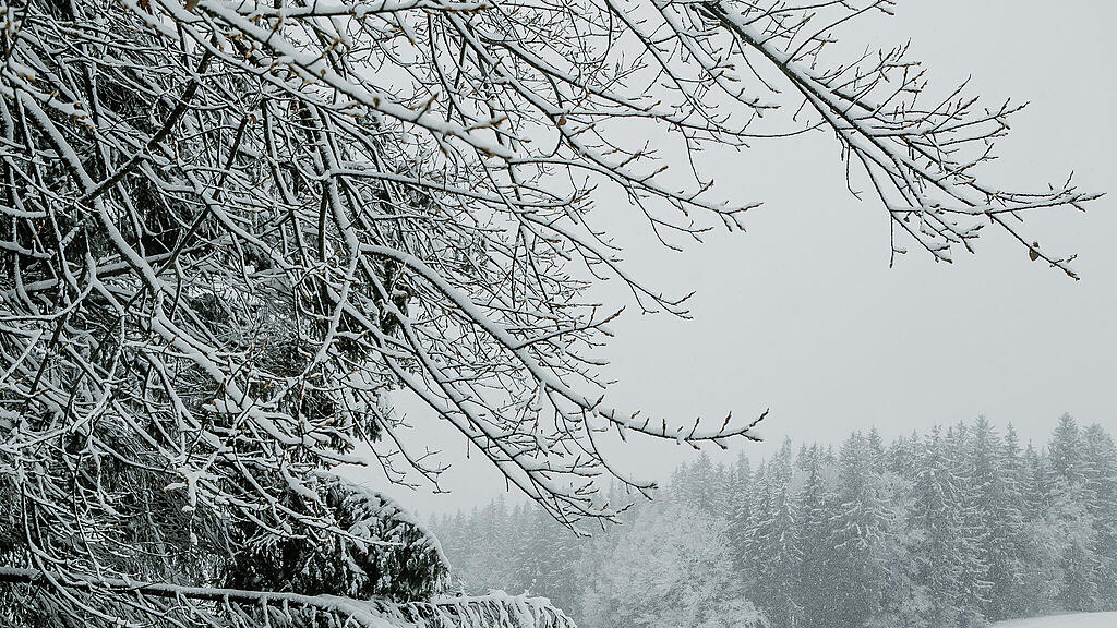 Schnee am Haunsberg