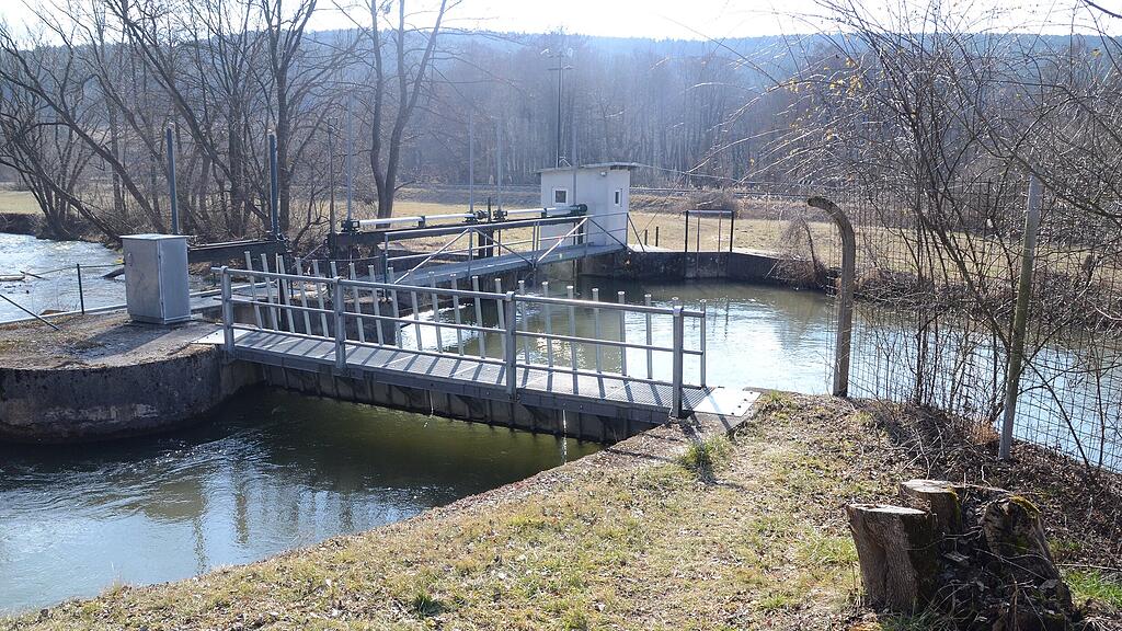 Leichen in Fluss in NÖ entdeckt