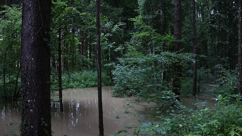 Regen im Flachgau II