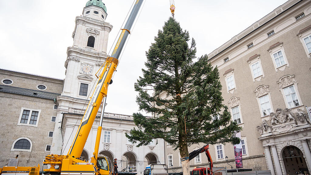 Baum am Christkindlmarkt eingetroffen