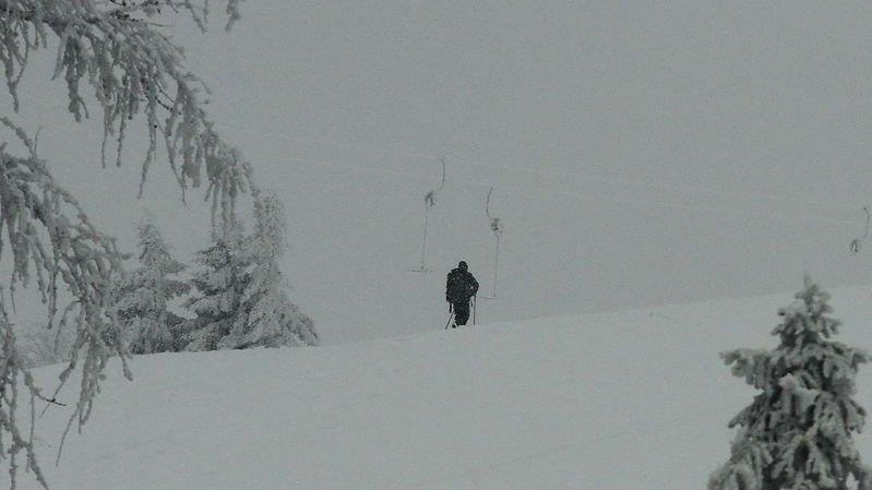 Schneefall am Roßfeld