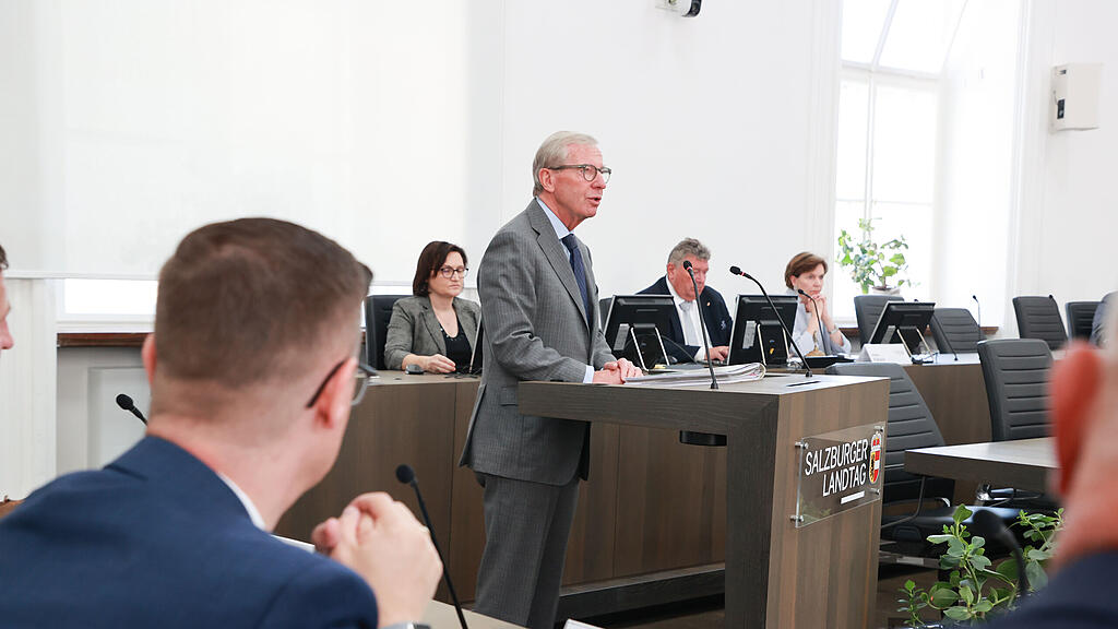 haslauer hearing salzburger landesregierung