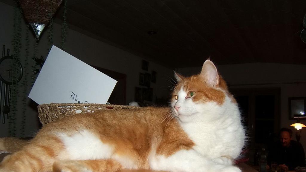 Bilder von Fridolin
