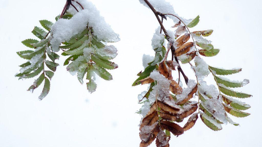 Schnee in Bad Gastein
