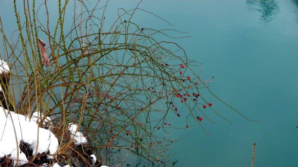 Blick über die Salzach in Hallein
