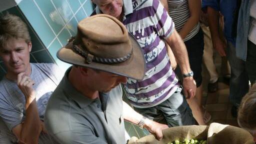 Bilder vom Hopfenerntefest