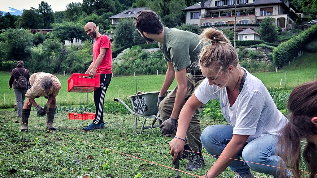 Am Feld ist gemeinsames Garteln angesagt.