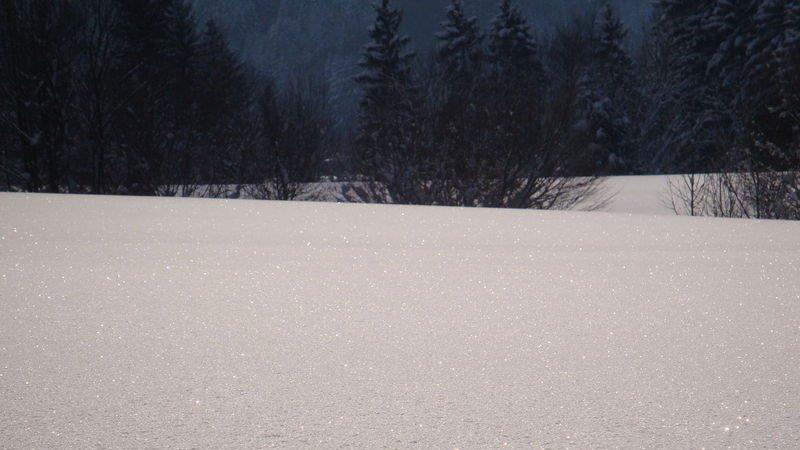 Winteridylle in Ebenau