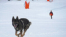 image009.jpg