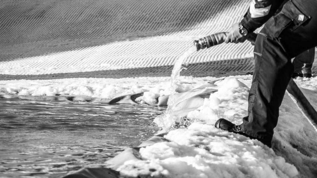 Water Splash I