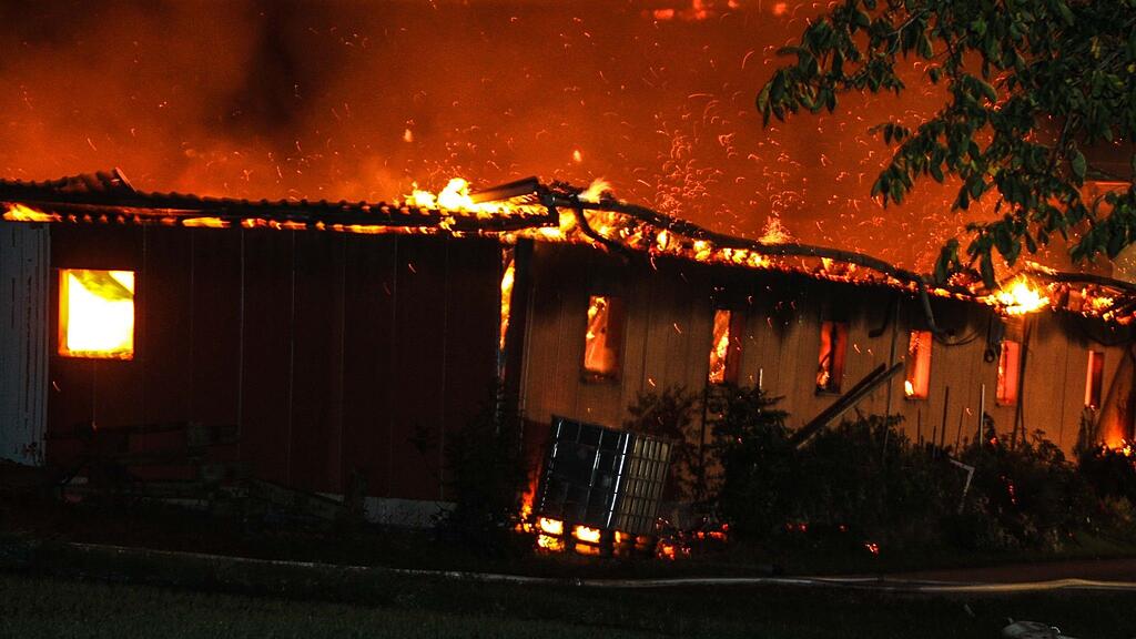 Rund 200 Tiere verbrannten bei dem Großbrand in Oberösterreich.
