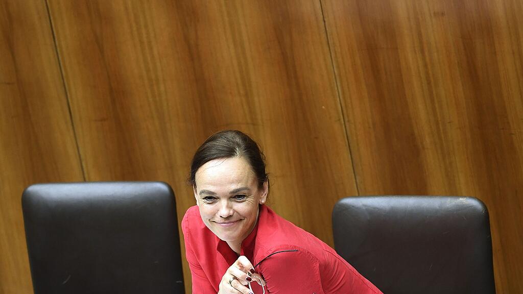 Hammerschmid will die Schulen besser machen.